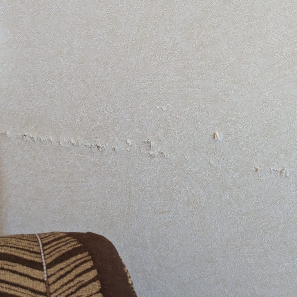 Holiday Inn Sydney Waterfront